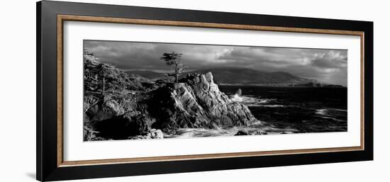 Lone cypress on the coast, Pebble Beach, Monterey County, California, USA-null-Framed Photographic Print