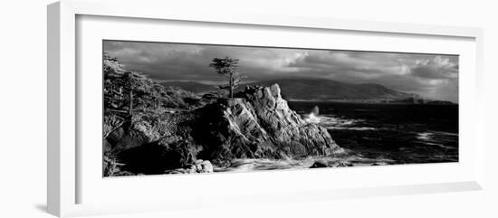 Lone cypress on the coast, Pebble Beach, Monterey County, California, USA-null-Framed Photographic Print