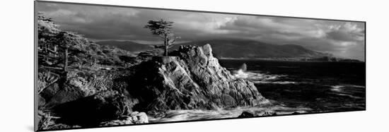 Lone cypress on the coast, Pebble Beach, Monterey County, California, USA-null-Mounted Photographic Print