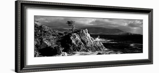 Lone cypress on the coast, Pebble Beach, Monterey County, California, USA-null-Framed Photographic Print