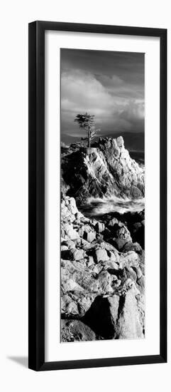 Lone cypress on the coast, Pebble Beach, Monterey County, California, USA-null-Framed Photographic Print