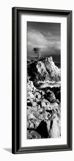 Lone cypress on the coast, Pebble Beach, Monterey County, California, USA-null-Framed Photographic Print