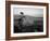 Lone Cypress Tree on Rocky Outcrop at Dusk, Carmel, California, USA-Howell Michael-Framed Photographic Print