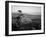 Lone Cypress Tree on Rocky Outcrop at Dusk, Carmel, California, USA-Howell Michael-Framed Photographic Print