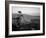 Lone Cypress Tree on Rocky Outcrop at Dusk, Carmel, California, USA-Howell Michael-Framed Photographic Print