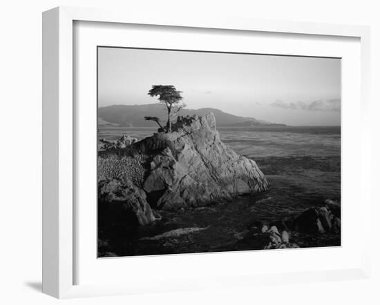 Lone Cypress Tree on Rocky Outcrop at Dusk, Carmel, California, USA-Howell Michael-Framed Photographic Print