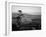 Lone Cypress Tree on Rocky Outcrop at Dusk, Carmel, California, USA-Howell Michael-Framed Photographic Print