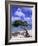 Lone Divi Tree, Aruba, Caribbean-Bill Bachmann-Framed Photographic Print