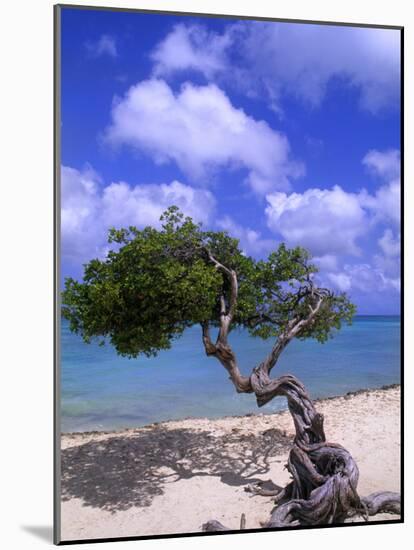 Lone Divi Tree, Aruba, Caribbean-Bill Bachmann-Mounted Photographic Print