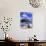 Lone Divi Tree, Aruba, Caribbean-Bill Bachmann-Photographic Print displayed on a wall
