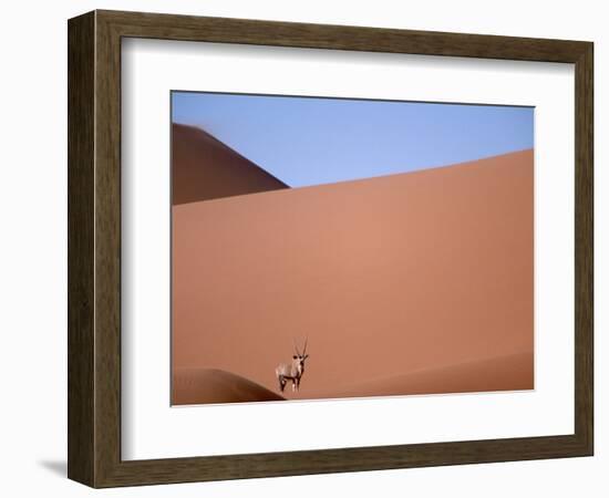 Lone Gemsbok Walking On Sand Dunes-Richard Olivier-Framed Photographic Print