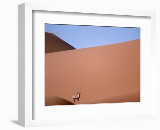 Lone Gemsbok Walking On Sand Dunes-Richard Olivier-Framed Photographic Print