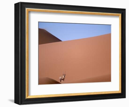 Lone Gemsbok Walking On Sand Dunes-Richard Olivier-Framed Photographic Print