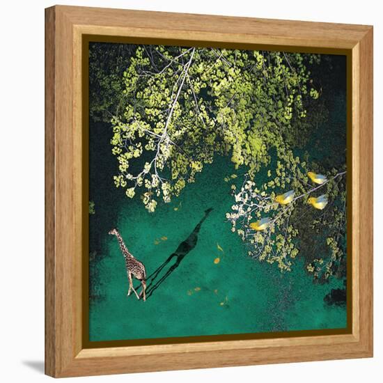 Lone Giraffe-Nancy Tillman-Framed Stretched Canvas