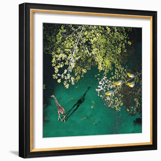 Lone Giraffe-Nancy Tillman-Framed Art Print