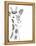 Lone Giraffe-Pam Varacek-Framed Stretched Canvas