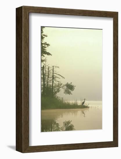 Lone Heron-Orah Moore-Framed Giclee Print