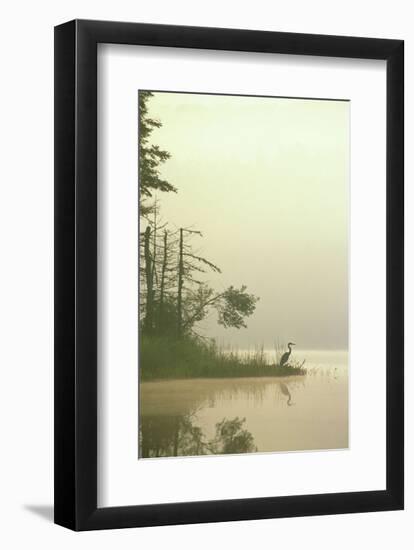 Lone Heron-Orah Moore-Framed Art Print