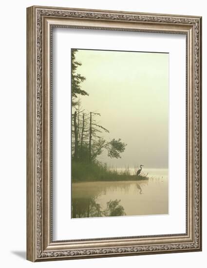 Lone Heron-Orah Moore-Framed Art Print