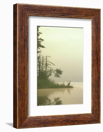 Lone Heron-Orah Moore-Framed Art Print