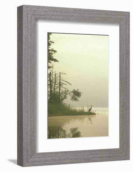 Lone Heron-Orah Moore-Framed Art Print