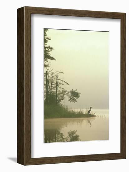 Lone Heron-Orah Moore-Framed Art Print