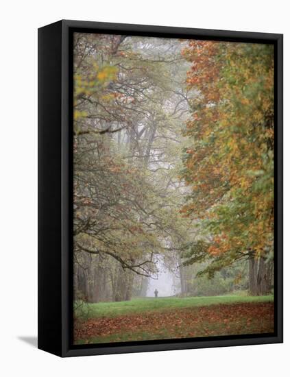 Lone Hiker in Champoeg State Park, Willamette Valley, Oregon, USA-Jaynes Gallery-Framed Premier Image Canvas