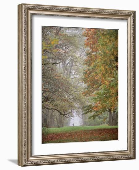 Lone Hiker in Champoeg State Park, Willamette Valley, Oregon, USA-Jaynes Gallery-Framed Photographic Print