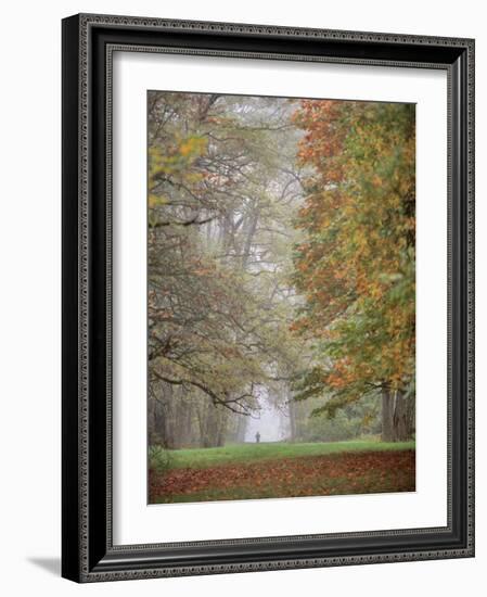 Lone Hiker in Champoeg State Park, Willamette Valley, Oregon, USA-Jaynes Gallery-Framed Photographic Print