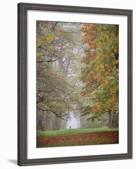 Lone Hiker in Champoeg State Park, Willamette Valley, Oregon, USA-Jaynes Gallery-Framed Photographic Print