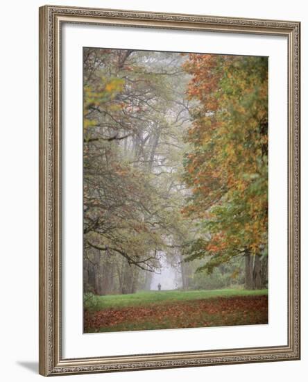 Lone Hiker in Champoeg State Park, Willamette Valley, Oregon, USA-Jaynes Gallery-Framed Photographic Print