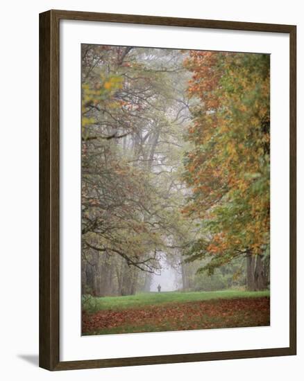 Lone Hiker in Champoeg State Park, Willamette Valley, Oregon, USA-Jaynes Gallery-Framed Photographic Print