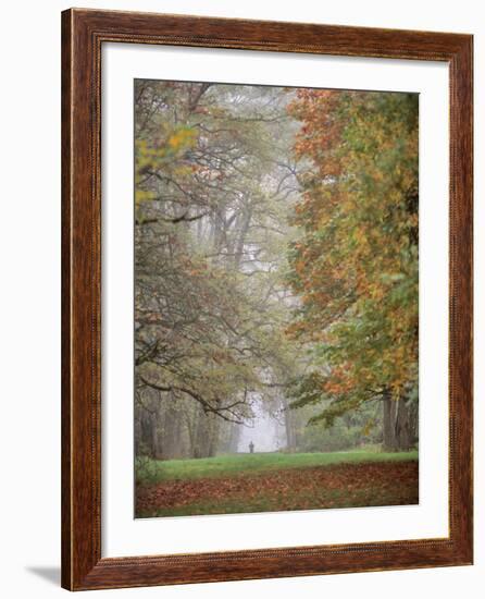 Lone Hiker in Champoeg State Park, Willamette Valley, Oregon, USA-Jaynes Gallery-Framed Photographic Print