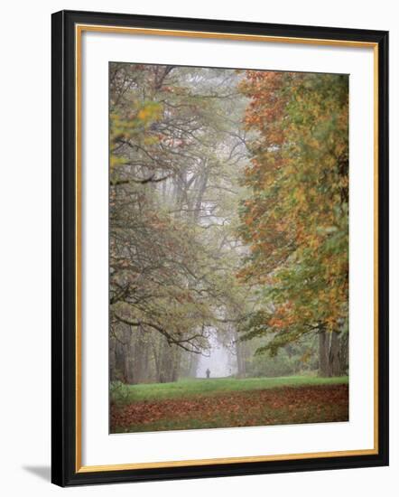 Lone Hiker in Champoeg State Park, Willamette Valley, Oregon, USA-Jaynes Gallery-Framed Photographic Print