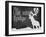 Lone Moose Lodge-null-Framed Giclee Print