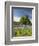 Lone Oak Standing in Field of Wildflowers with Tracks Leading by Tree, Texas Hill Country, Usa-Julie Eggers-Framed Photographic Print