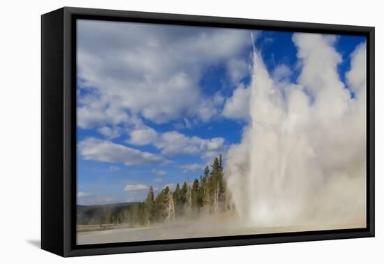 Lone Observer Watches Grand Geyser Erupt, Upper Geyser Basin, Yellowstone National Park-Eleanor Scriven-Framed Premier Image Canvas