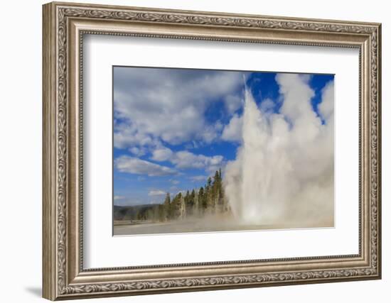 Lone Observer Watches Grand Geyser Erupt, Upper Geyser Basin, Yellowstone National Park-Eleanor Scriven-Framed Photographic Print