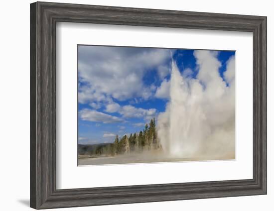 Lone Observer Watches Grand Geyser Erupt, Upper Geyser Basin, Yellowstone National Park-Eleanor Scriven-Framed Photographic Print