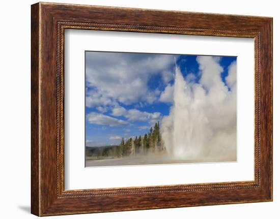 Lone Observer Watches Grand Geyser Erupt, Upper Geyser Basin, Yellowstone National Park-Eleanor Scriven-Framed Photographic Print