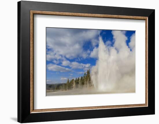 Lone Observer Watches Grand Geyser Erupt, Upper Geyser Basin, Yellowstone National Park-Eleanor Scriven-Framed Photographic Print