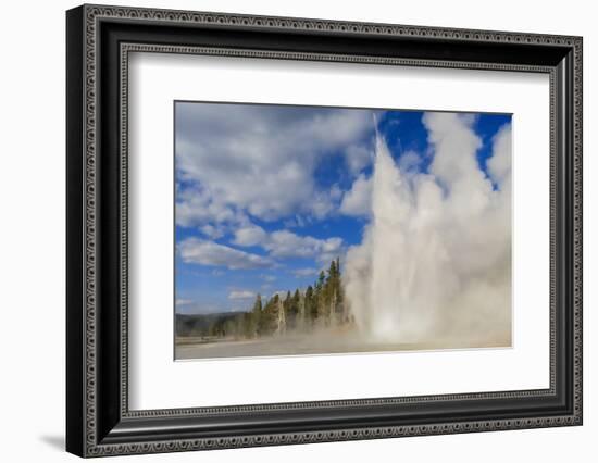 Lone Observer Watches Grand Geyser Erupt, Upper Geyser Basin, Yellowstone National Park-Eleanor Scriven-Framed Photographic Print