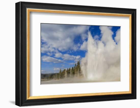 Lone Observer Watches Grand Geyser Erupt, Upper Geyser Basin, Yellowstone National Park-Eleanor Scriven-Framed Photographic Print