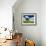 Lone old oak tree in wheat field-Terry Eggers-Framed Photographic Print displayed on a wall