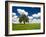 Lone old oak tree in wheat field-Terry Eggers-Framed Photographic Print