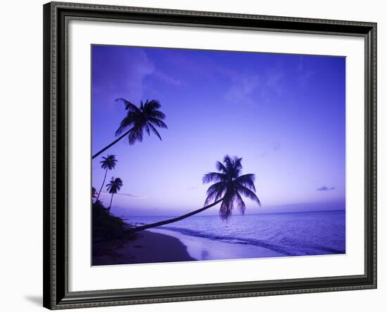 Lone Palm Trees at Sunset, Coconut Grove Beach at Cade's Bay, Nevis, Caribbean-Greg Johnston-Framed Photographic Print