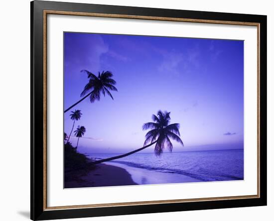 Lone Palm Trees at Sunset, Coconut Grove Beach at Cade's Bay, Nevis, Caribbean-Greg Johnston-Framed Photographic Print