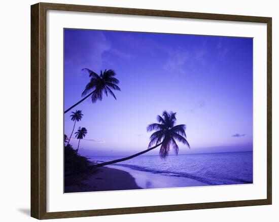 Lone Palm Trees at Sunset, Coconut Grove Beach at Cade's Bay, Nevis, Caribbean-Greg Johnston-Framed Photographic Print