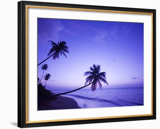 Lone Palm Trees at Sunset, Coconut Grove Beach at Cade's Bay, Nevis, Caribbean-Greg Johnston-Framed Photographic Print