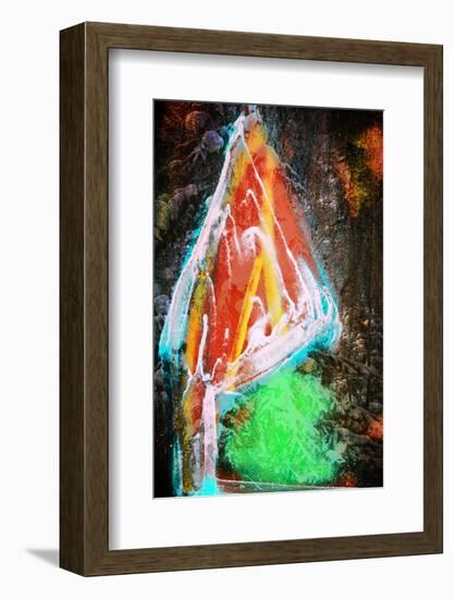 Lone Pine-Ursula Abresch-Framed Photographic Print